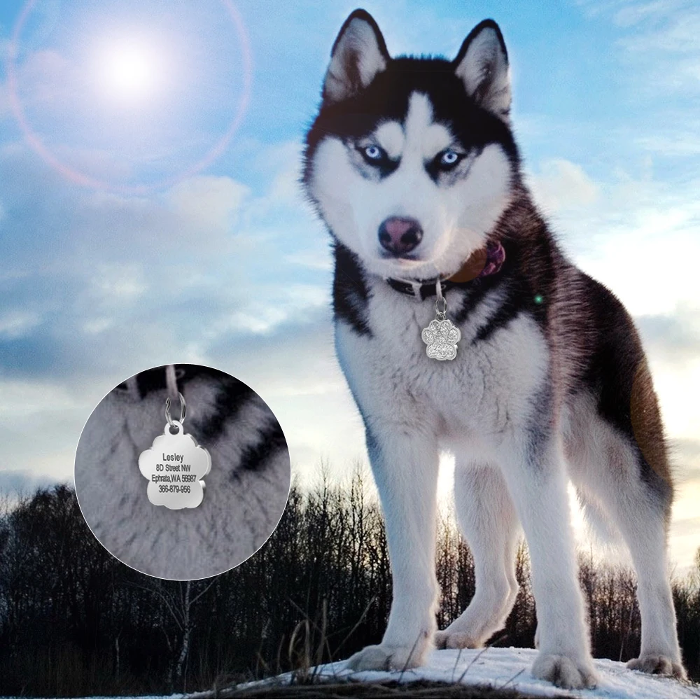 Идентификационные бирки для домашних животных на заказ бирка большого размера с