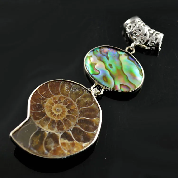 5 шт. древний кулон Nautilus Fossil с натуральным абалоновым корпусом инсет женское