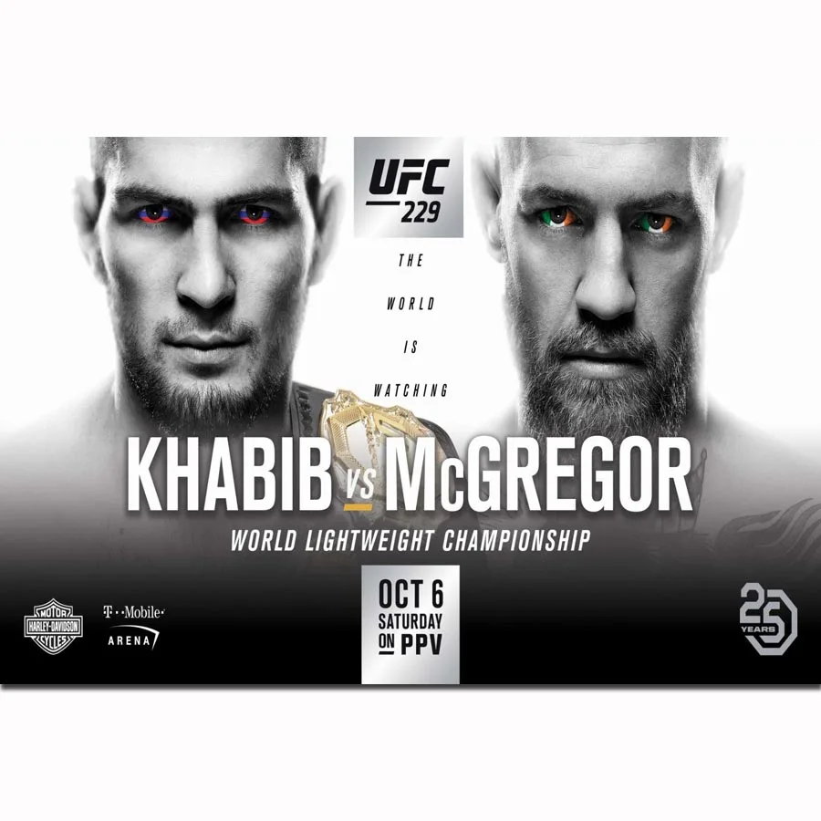 FX1440 Хабиб нурмагомедов против Конора Макгрегора Горячая UFC 229 борьба события плакат Искусство Шелковый светильник холст домашний декор с печатью - Цвет: Светло-серый