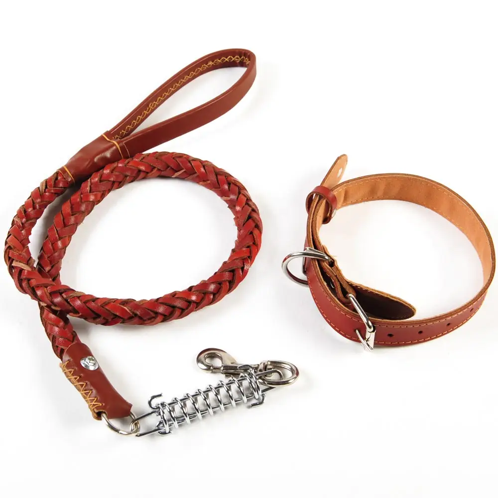 Large dog chain leash leather collar lead for M/L dogs pet supplies | Дом и сад