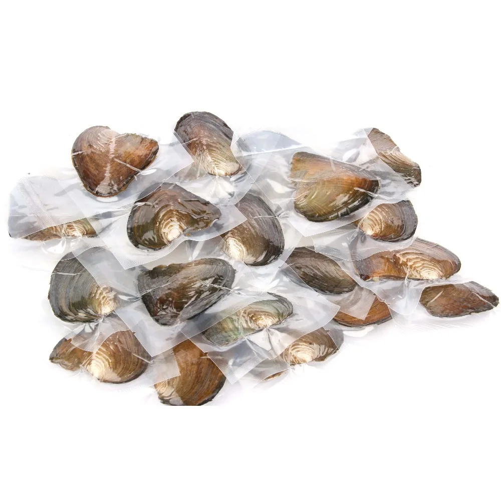 10 шт./лот жемчужные устрицы пресноводные культивированные с жемчугом в форме