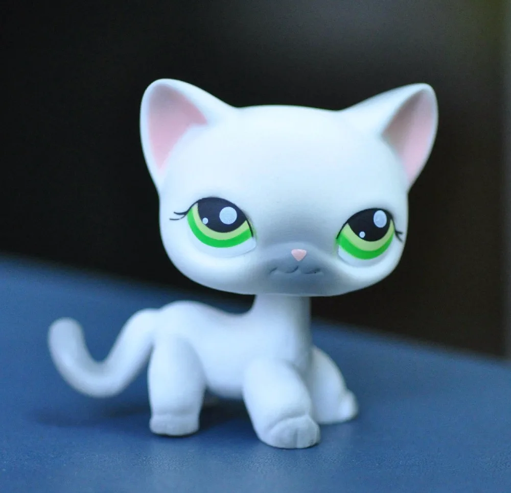 Коллекция коротких волос для домашних животных кошка ребенок девочка мальчик