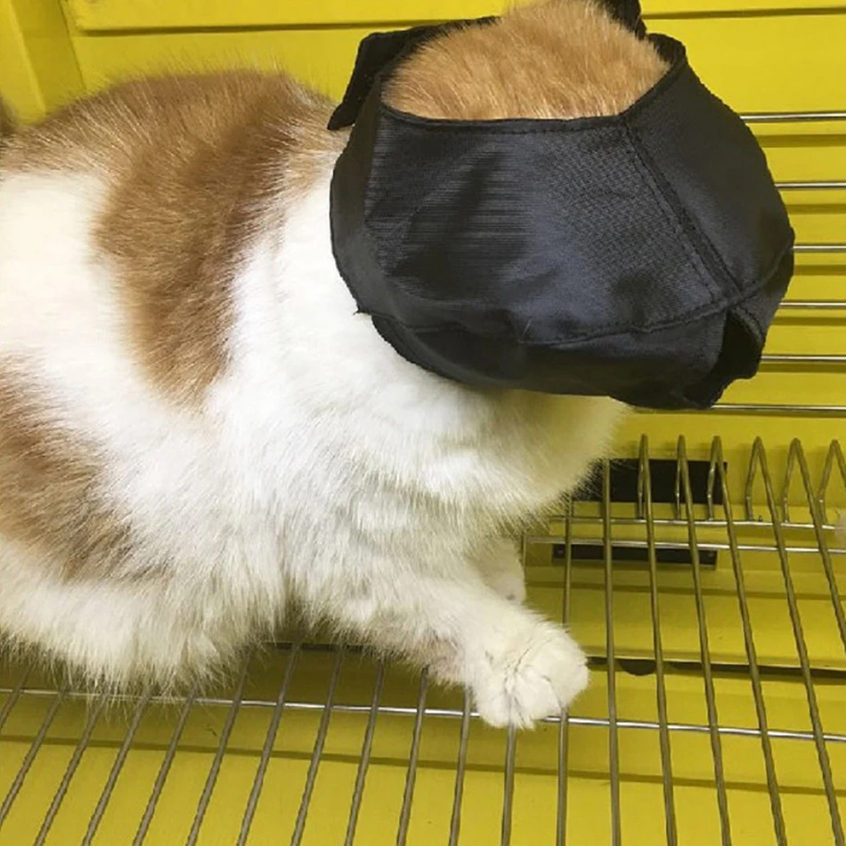 Нейлоновые намордники для кошек с подкладкой дорожный инструмент товары красоты