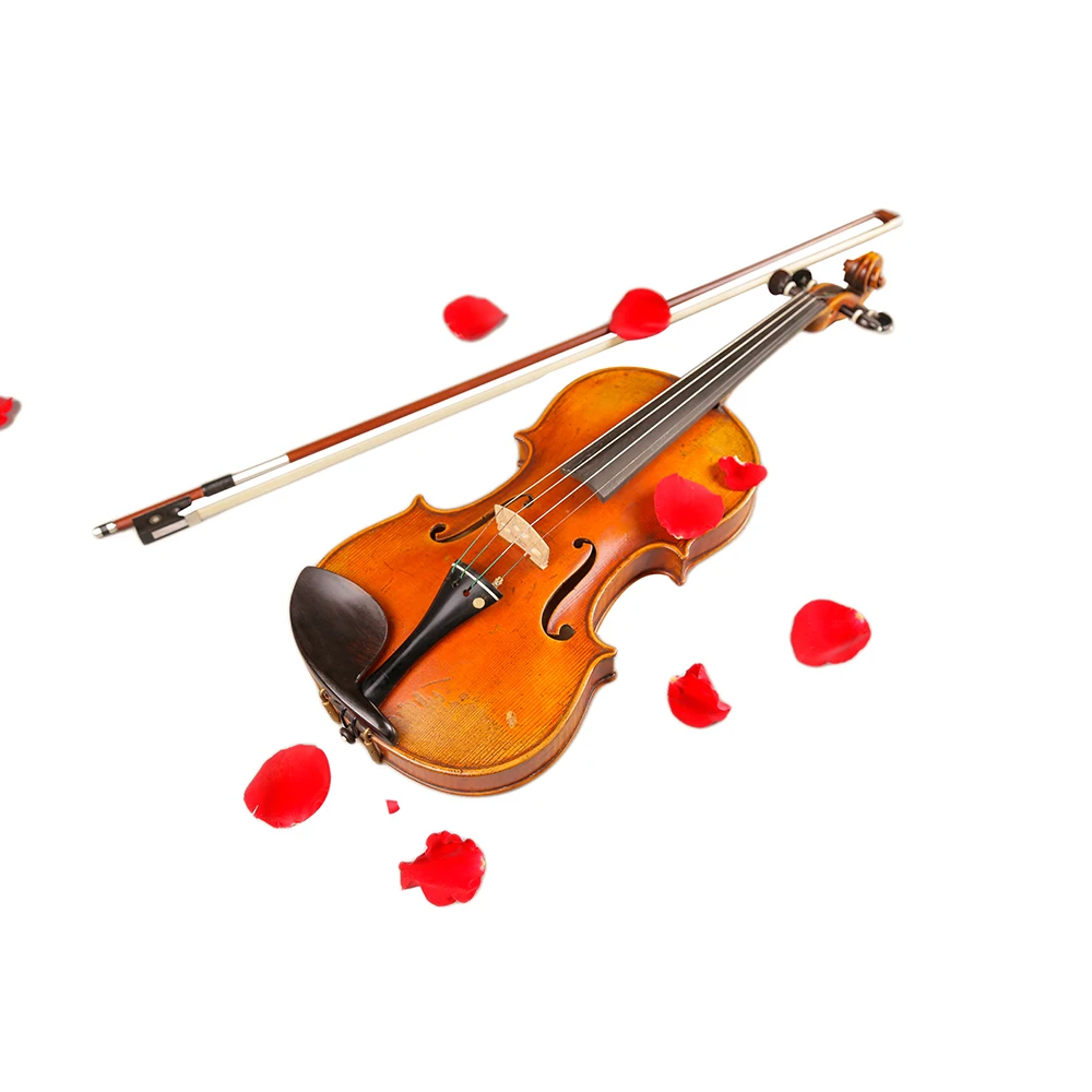 Рисунок 3 - Профессиональная полноразмерная