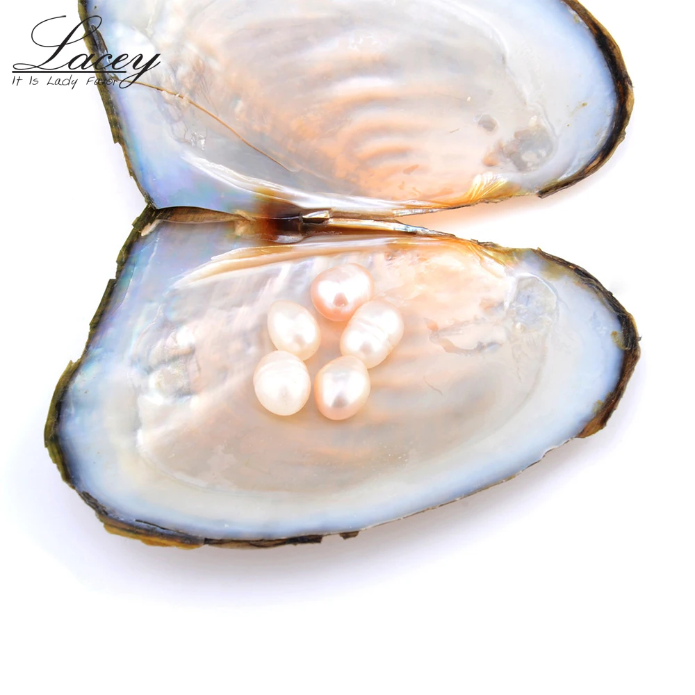 Устричный жемчуг вакуумная упаковка натуральные бусины Пресноводный Жемчуг