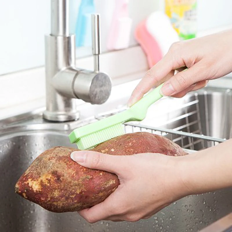 Кухня инструмент фруктов Растительные Тематические товары про рептилий и