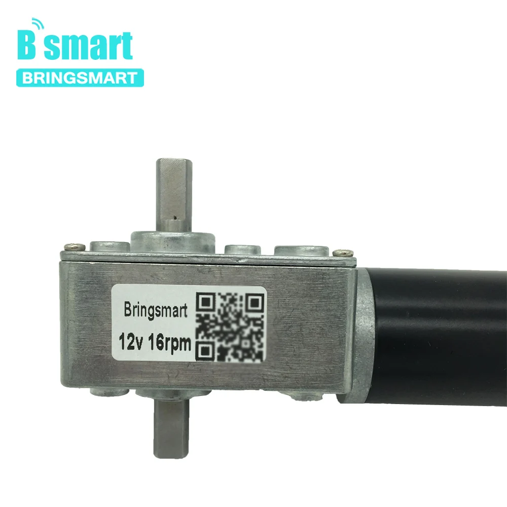 Bringsmart 12 В двойной вал DC Мотор Червячный редуктор высокий крутящий момент 70кг. См 24 вольт двигатель D вал червячный редуктор Реверсивный