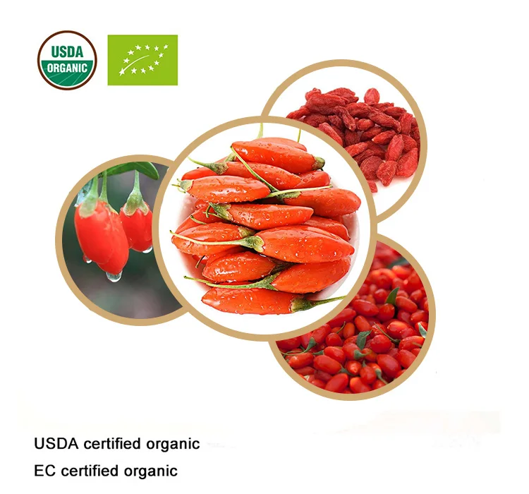Сертифицированная USDA и EC Органическая сухая китайская Волчья ягода gojiberry |