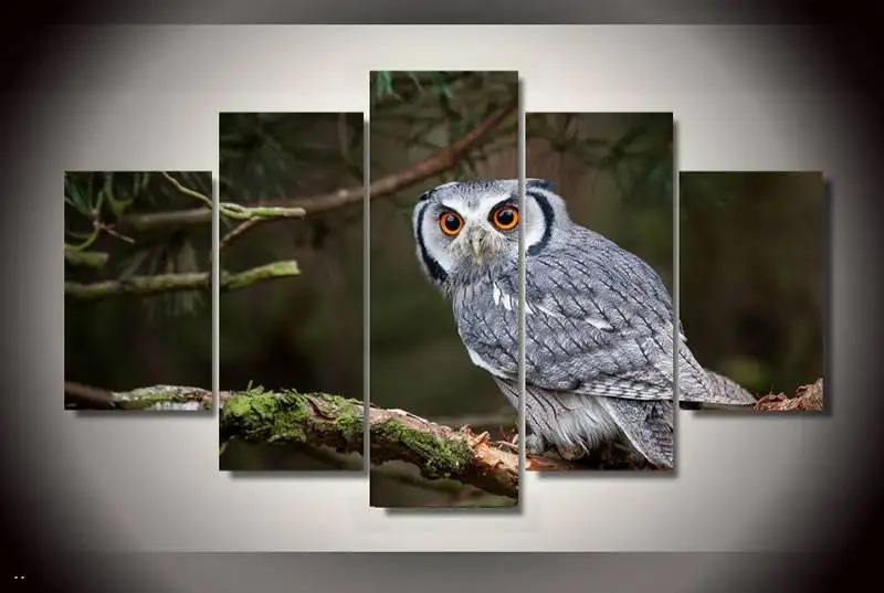 Hd Печать панно с животными Сова Картина на холсте декор комнаты печать плакат