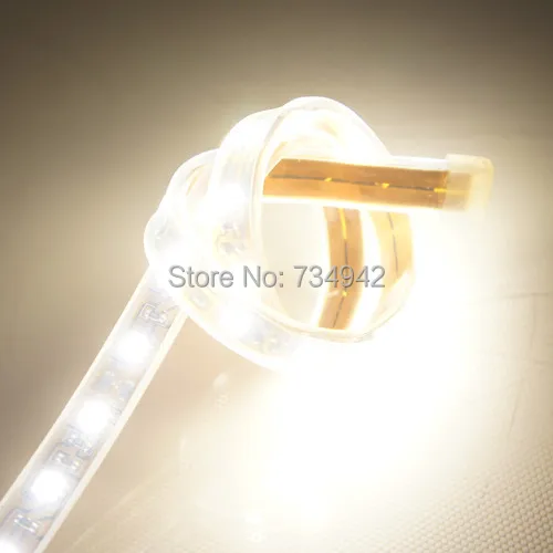 Waterproof-IP67 1 метр DC 12 V SMD5050 гибкий светодиодный ленты 60 s на белый красный зеленый