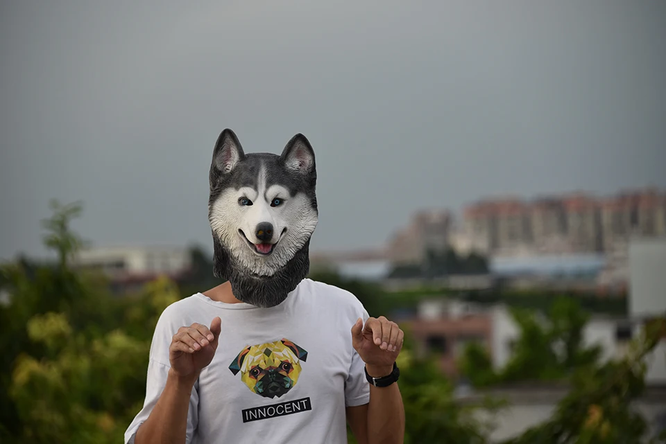 Маска Из Латекса для собак из сибирской хаски на Хэллоуин новинка костюм