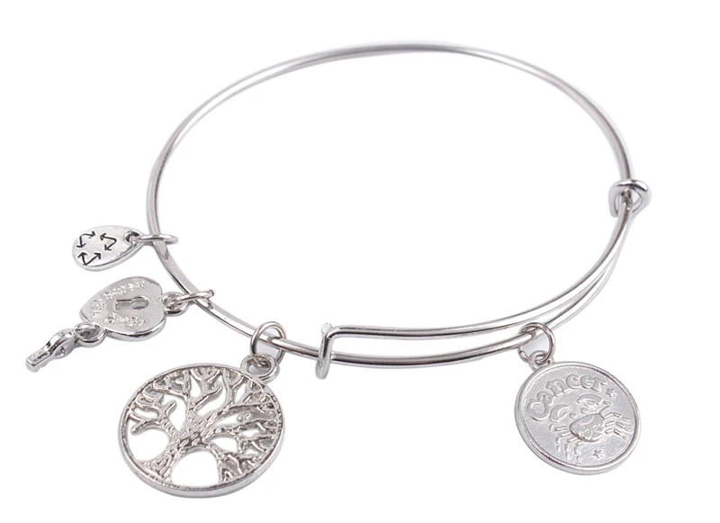 Браслет с подвеской зодиак серебристый оттенок Расширяемый провод 5 шт. |