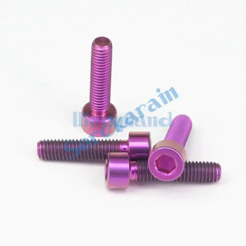 4pcs M6 x 25mm Purple TC4 GR5 Titanium Alloy Allen Hex Screw Column Head Bolts For Bicycle | Обустройство дома