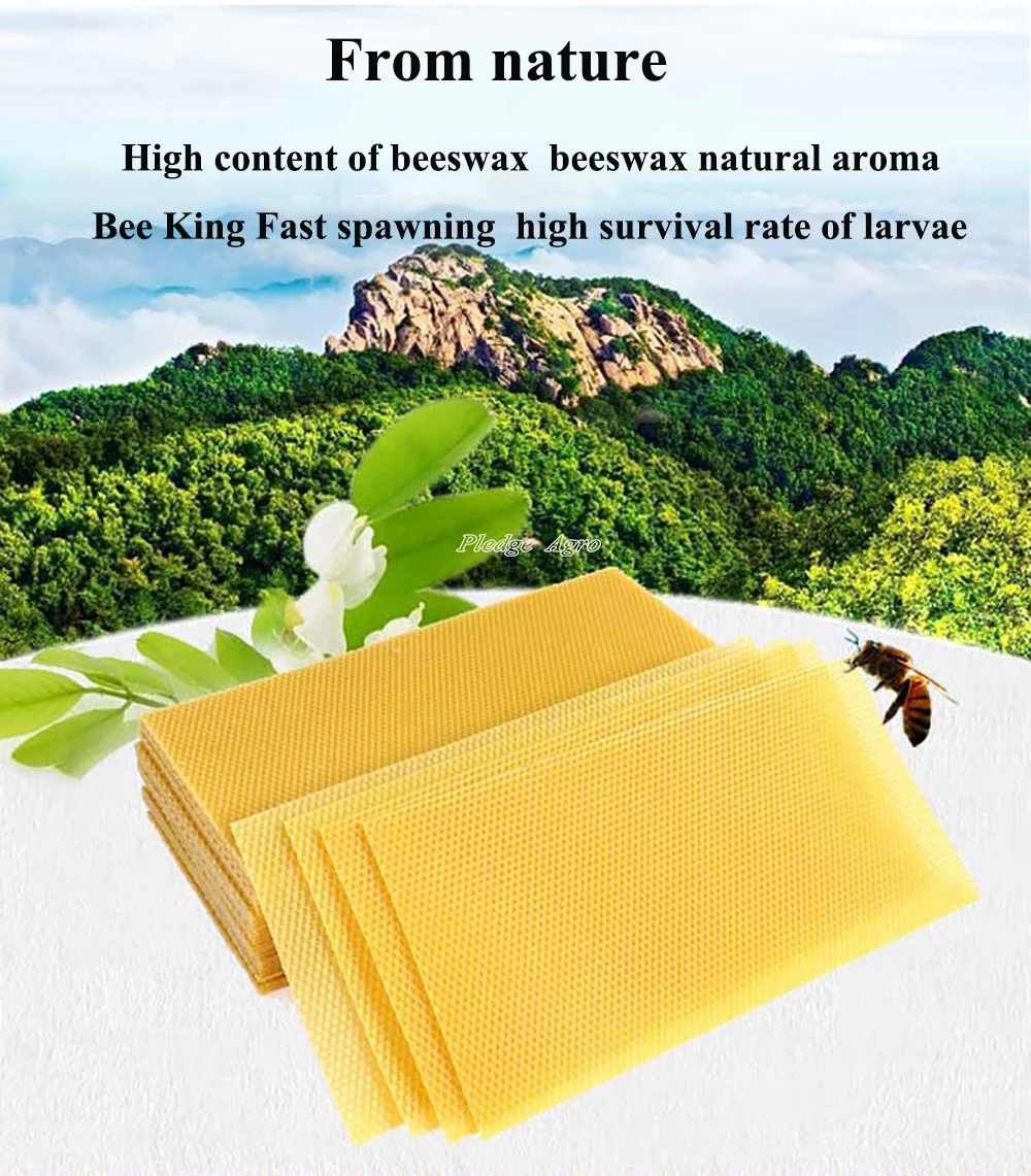 20шт лист основания из пчелиного воска пчелиный воск Apicultura Cera Apiculture Outils ансамбль коврик Riel Apicole пчелиный ульи инструменты оборудование