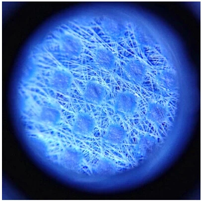 60X Мини Карманный Лупа Ручной Портативный ювелир микроскоп очки светодиодный