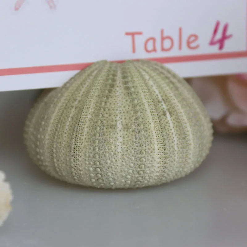 Бесплатная доставка (10 шт./лот) зеленая морская визитница для пляжа свадебный