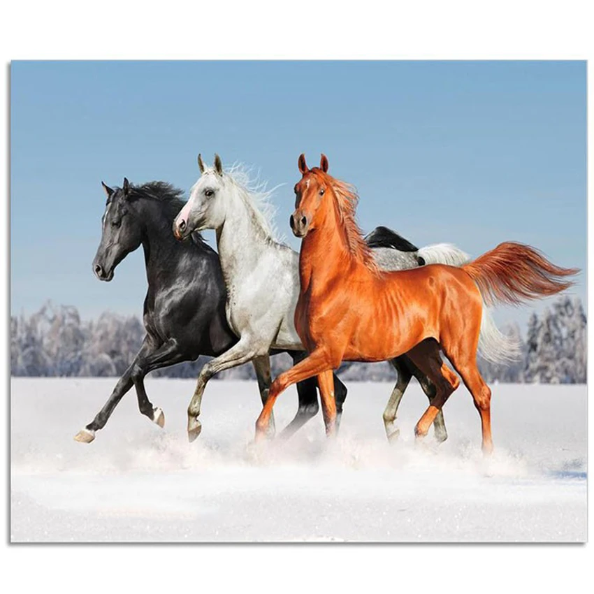 Картина из страз сделай сам с изображением лошади | Дом и сад