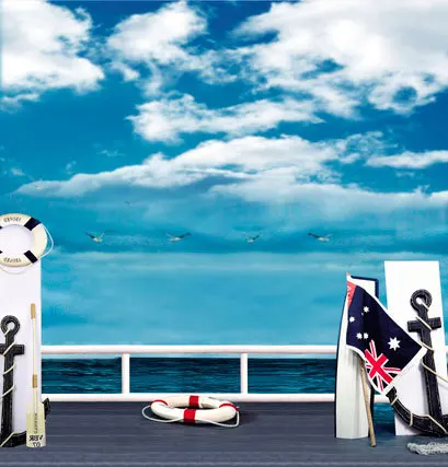 Виниловый фон для студийной фотосъемки с изображением чайки неба темно-синего