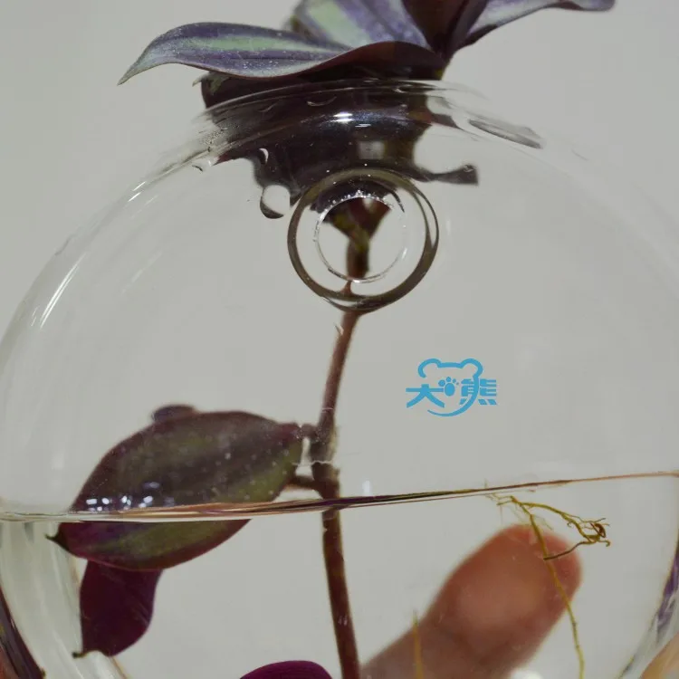 Wall hanging glass vase transparent bottle hydroponics bread creative home decoration wedding accessories |