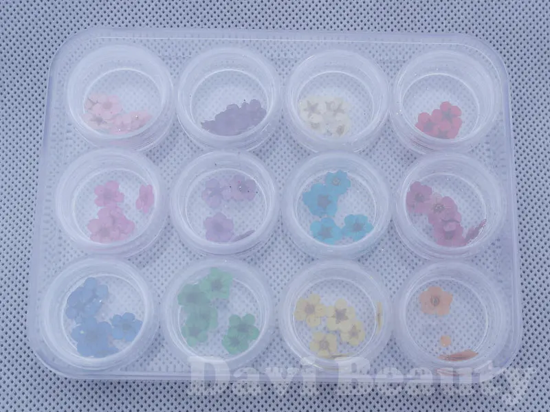 12 видов цветов/банок/партия бусины для ногтей сухие цветы 3D/УФ гель украшения