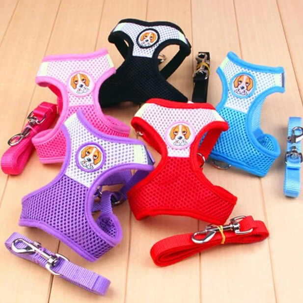 Флейта и поводок флейта для маленьких средних собак|mesh dog harness|dog harnessdog harness and leash |