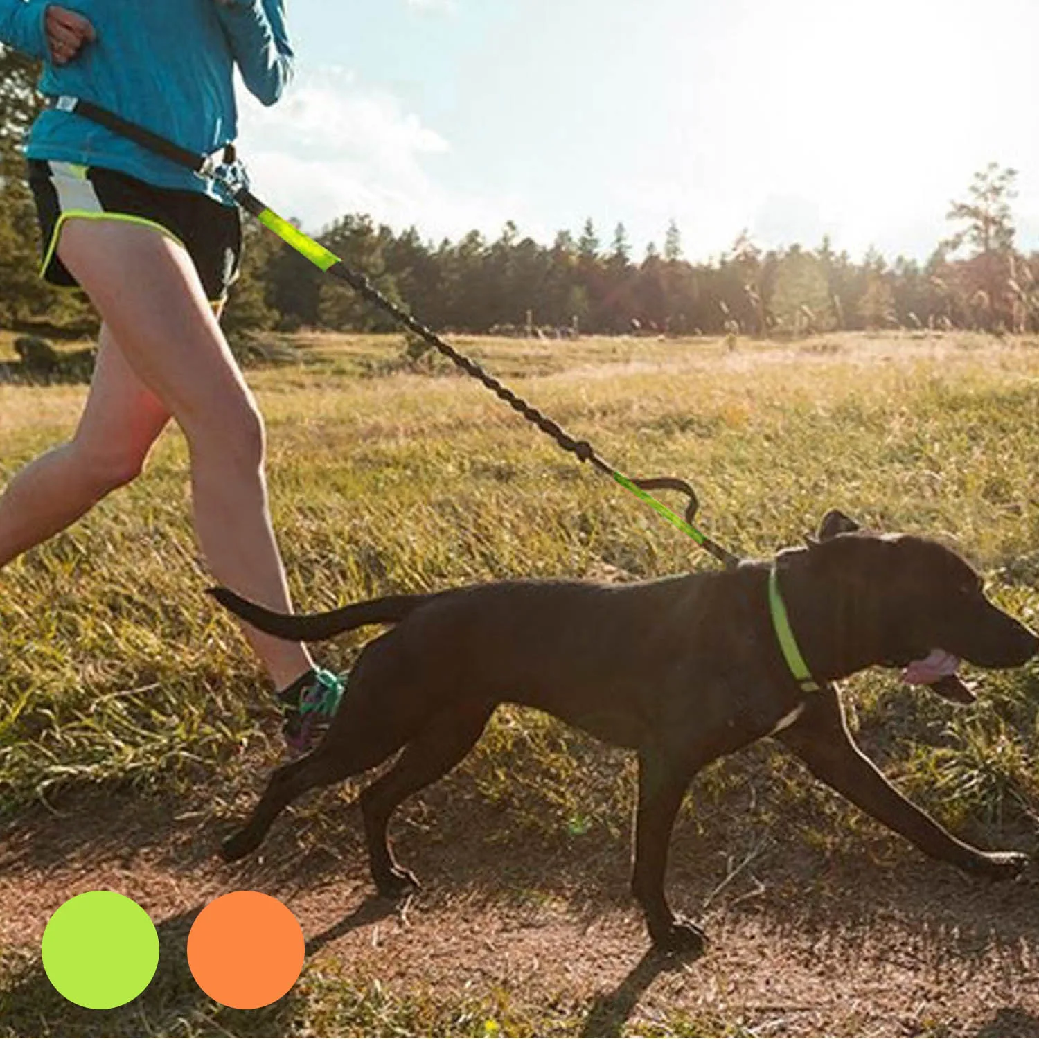 Behogar выдвижной эластичный поводок для собак с регулируемым поясом бега ходьбы