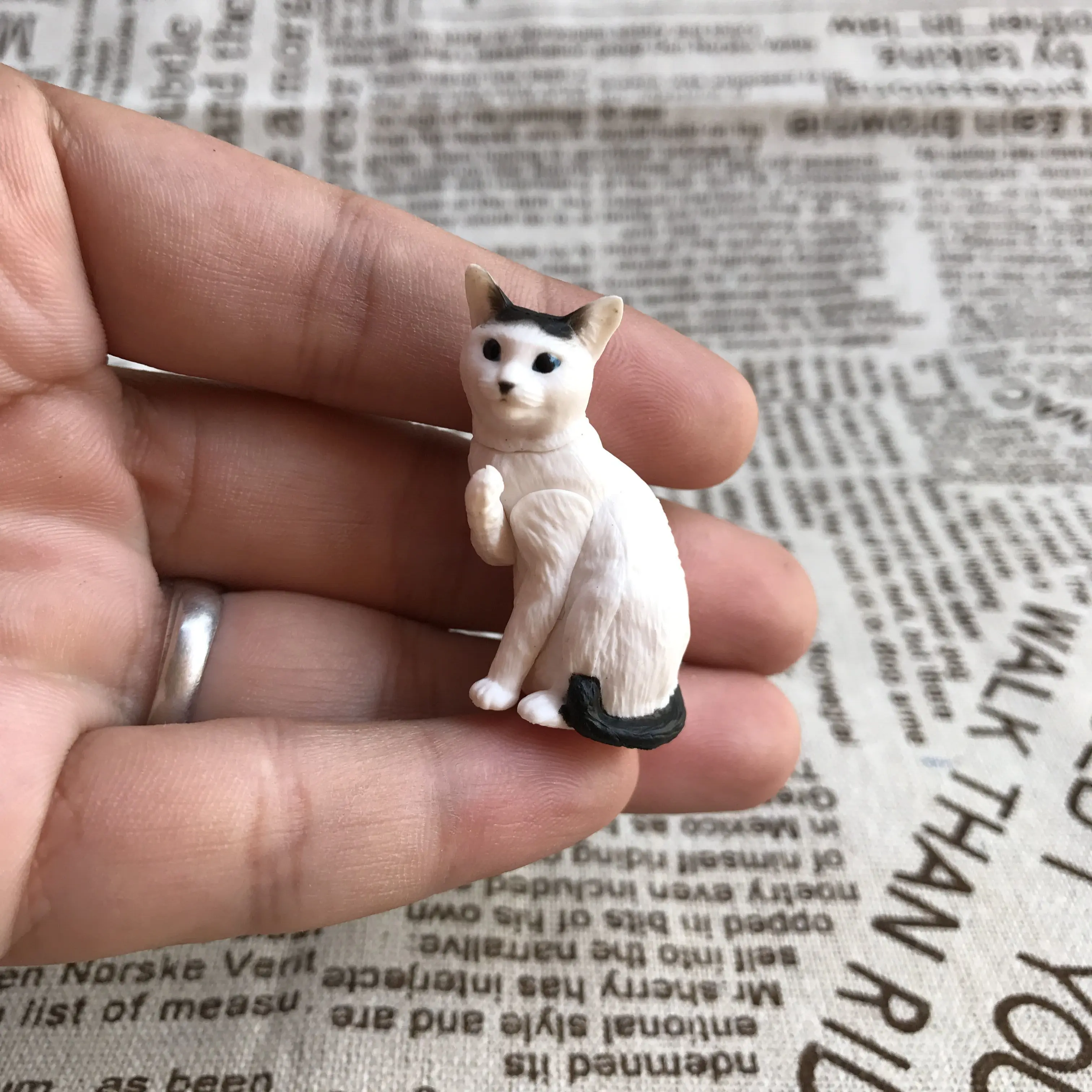 4 Литье смолы создает Рабочий стол реальный котенок серебро настоящий котенок Настольная фурнитура для торжественных церемоний вместо использования Kitty Gashapon - Цвет: 4