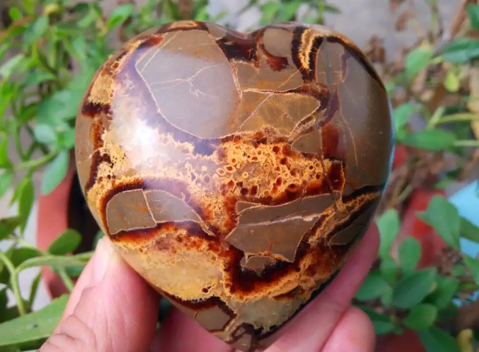 260 г Septarian Дино &quotКамень Дракона&quot в форме сердца образец|specimen| |