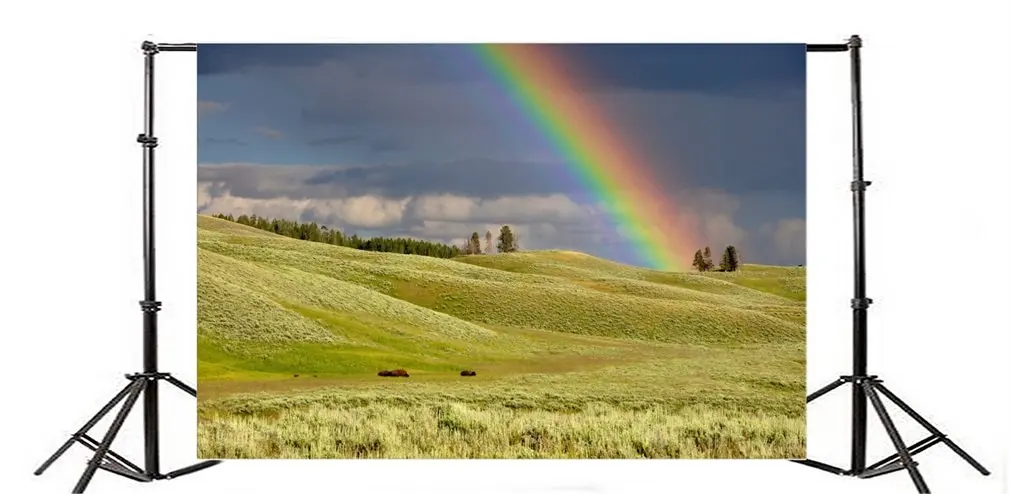 

Фон для фотосъемки природа Ric Grassland Радуга голубое небо Белое Облако Дерево