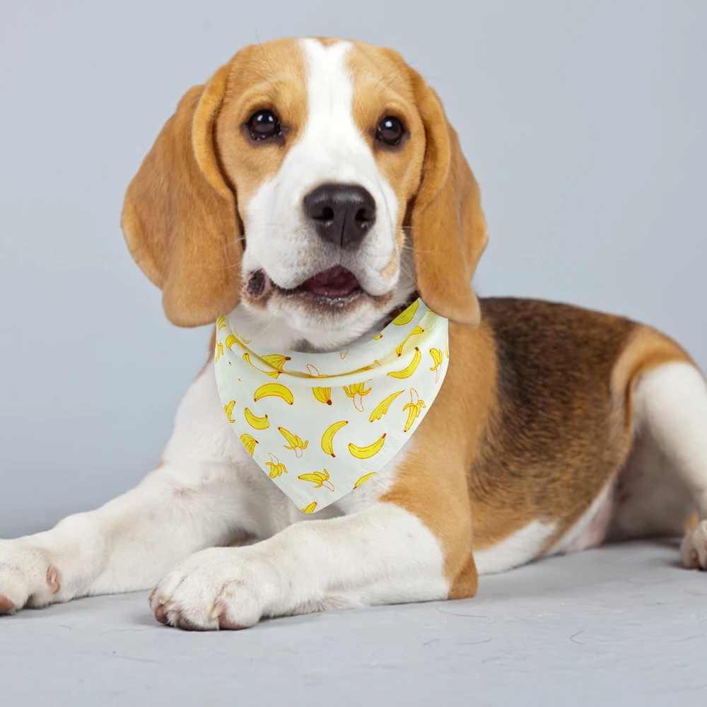Cute Dog Cat Collar Banada Soft Puppy Bandana Scraf Collars Pet Accessories Small Dogs Cats Necklace Fruit Print M L |