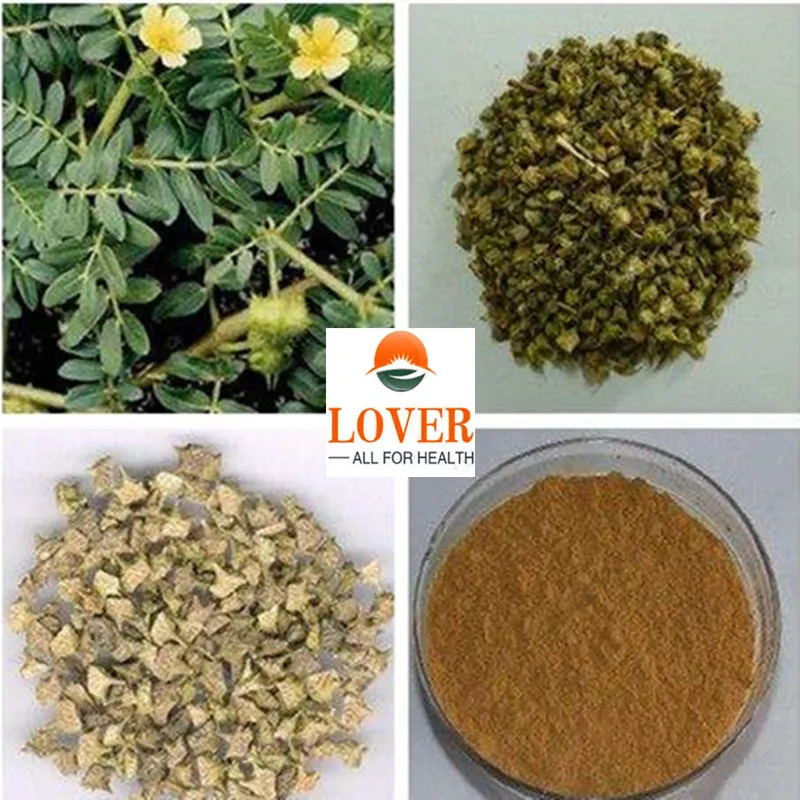 100-1000 г чистый Tribulus пудра Tribulus terrestris экстракт 30: 1, Tribulus(95% сапонины) порошок для воздействия на артериальное давление, на звук