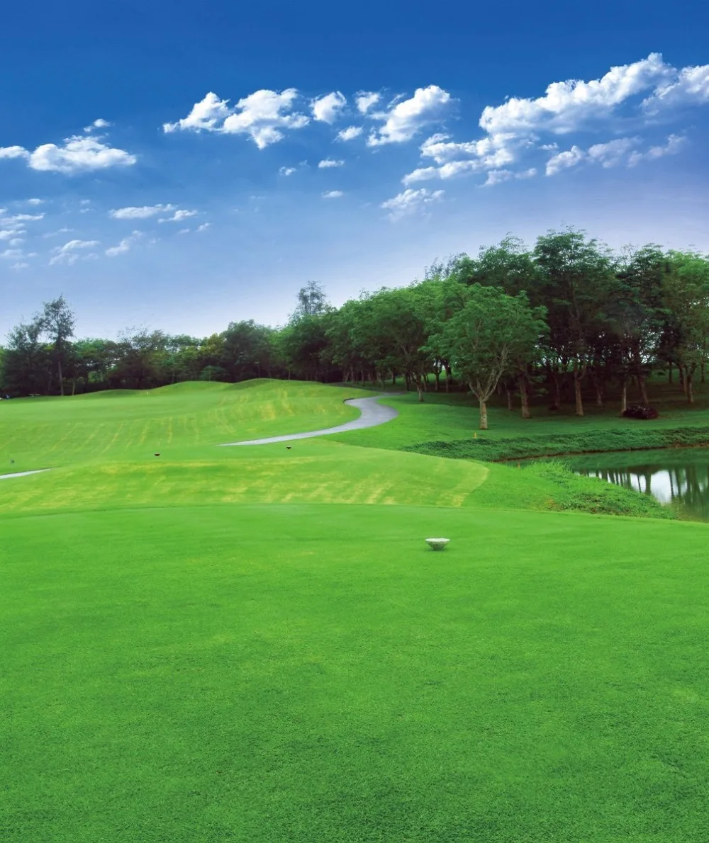 

Golf Course Sport Themed Photo Background Printed Green Lawn Trees Blue Sky Cloud Outdoor Nature Scenic Photography Backdrops