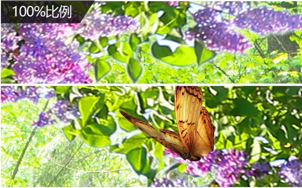 3d фотообои на заказ Сика олень трава цветы Декор живопись картина настенные