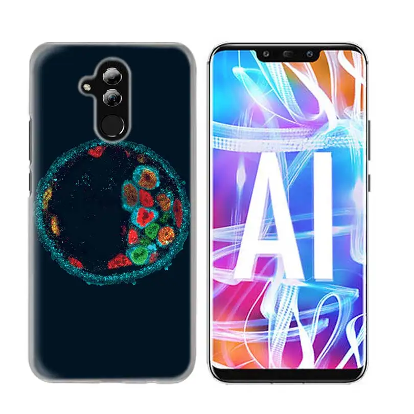 Чехол для huawei Honor P20 Коврики 20 10 P10 P9 P8 8X9 Lite P Smart+ плюс Nova 3i прозрачный Пособия по биологии и химии - Цвет: 05
