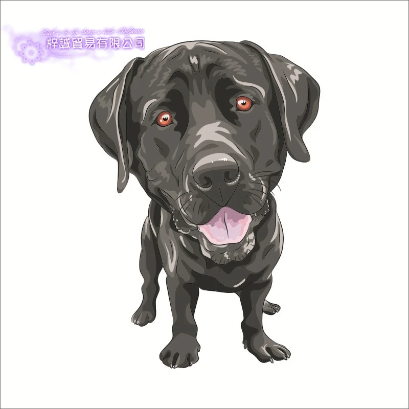 DCTAL Pet Shop Стикеры виниловые наклейки на стены парикмахерский салон для домашних