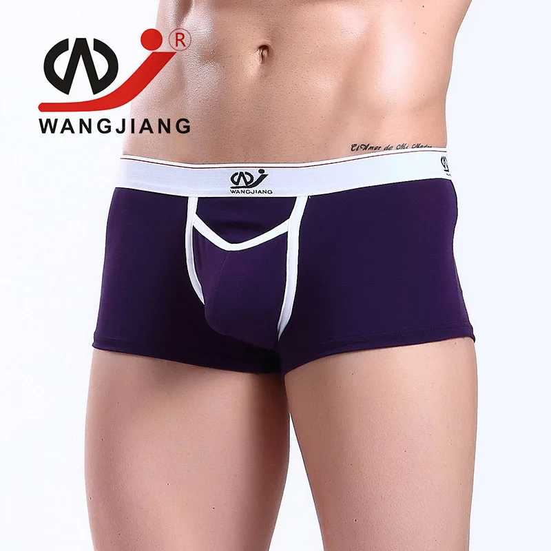 2008 PJ purple Сексуальные мужские трусы-боксеры cueca Siamese, модальное Мужское нижнее белье, мужские Трусы Calzoncillos, прозрачные мужские трусы-боксеры 2008 PJ - Цвет: 2008 PJ purple