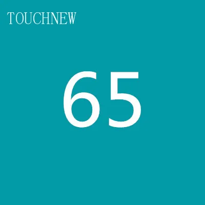 65 TOUCHNEW на заказ, одноцветные эскизные маркеры на спиртовой основе, двойная головка, кисть, маркеры, ручка для рисования, манга, товары для рукоделия, маркеры - Цвет: 65
