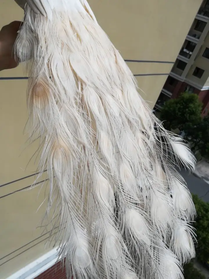 real life Bird white feathers Peafowls large 120cm peacock home garden decoration filming prop gift h1489 | Игрушки и хобби
