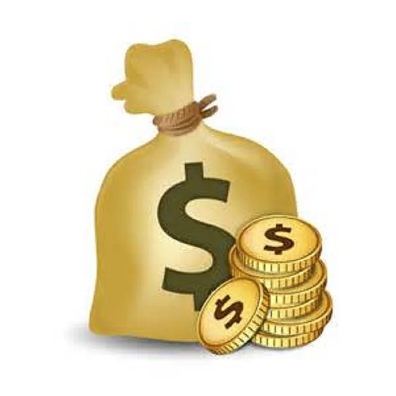 За дополнительную плату |