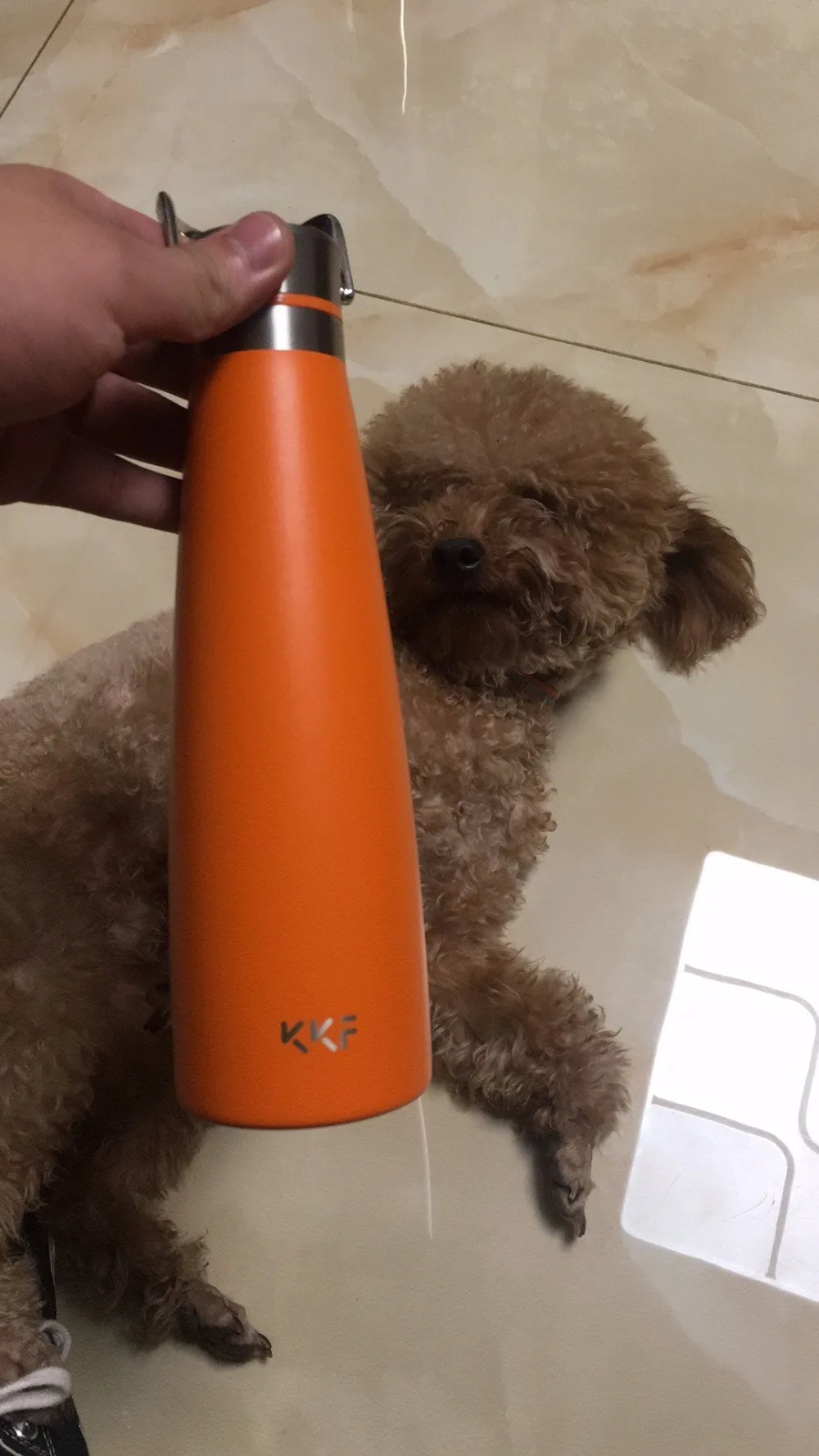XIAOMI MiJia kkf KISSKISSFISH SU-47WS, умный вакуумный термос, бутылка для воды, термос, чашка, портативные бутылки для воды