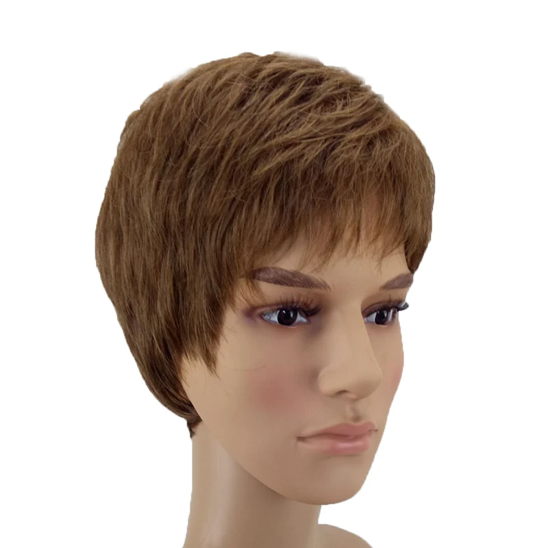 HAIRJOY синтетические волосы парики для мужчин короткие прямые парик термостойкие 2 цвета доступны