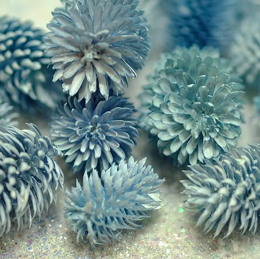 

100pcs Dried Preserved Flower Echinops Sphaerocephalus For Wedding Party Home Hotel Decoration DIY Bouquet Project Accessory