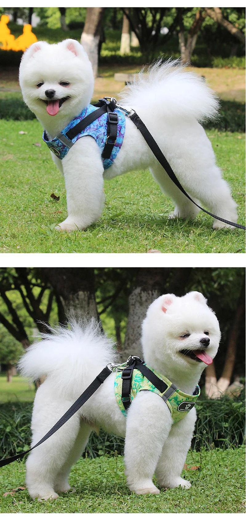 Reflective Pet Dog Vest Harness and Leash Set for Small Dogs Pomeranian Yorkshire Harnesses Nylon Puppy Lead Dog Chain Supplies