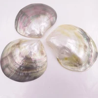 3 pcs 70mm 80mm fan shape shell natural mother of pearl no hole jewelry making