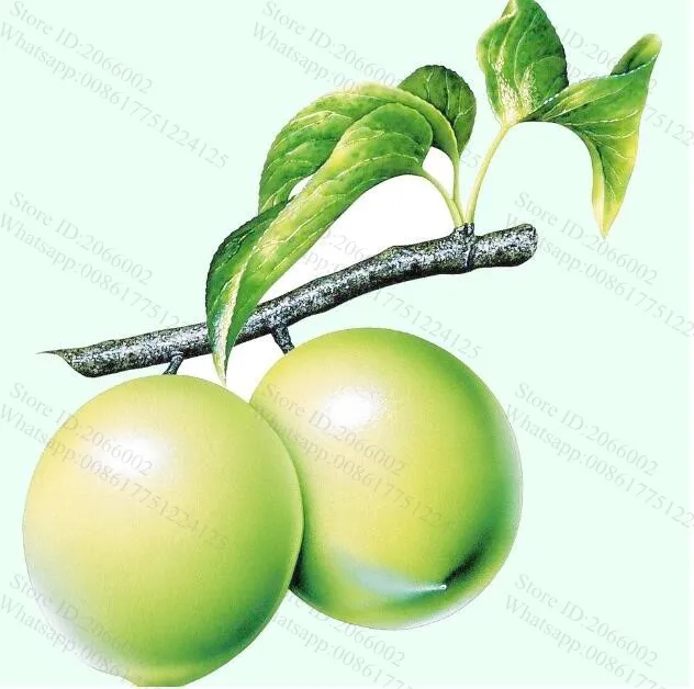 3 push and pull glass door straight cooling 330L fruit/drink/cake/bread freezer refrigerator cabinet | Бытовая техника