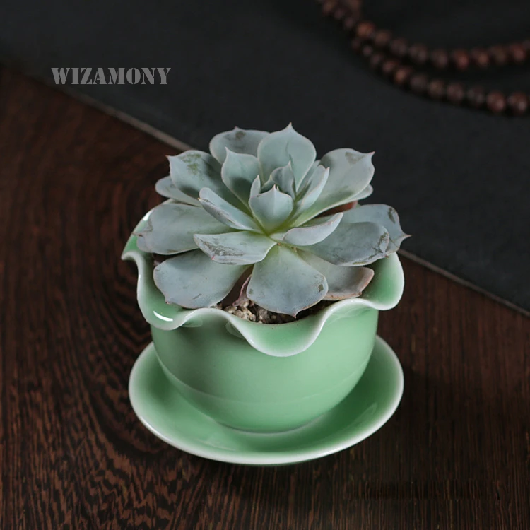 WIZAMONY Kawaii керамический цветочный горшок булбазавр плантатор милый Longquan Celadon