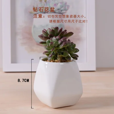 Бесплатная Доставка! Хит продаж! Цветочный горшок с многоуровневой лестницей в