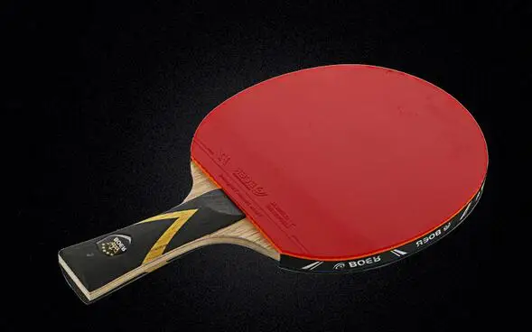 Ракетка для настольного тенниса Ddouble espinillas-in de caucho de Ping Pong tenis de mesa - Цвет: long handle