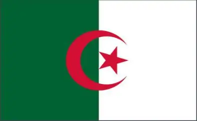 

Algeria Flags Wholesale Lot of 10 PCS National Polyester Banner150* 90cm 3ft x 5ft All over the world outdoor