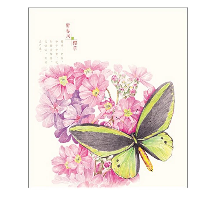 Chinese line drawing books for adult coloring Color pencil painting training book beginners -flower butterfly | Канцтовары для
